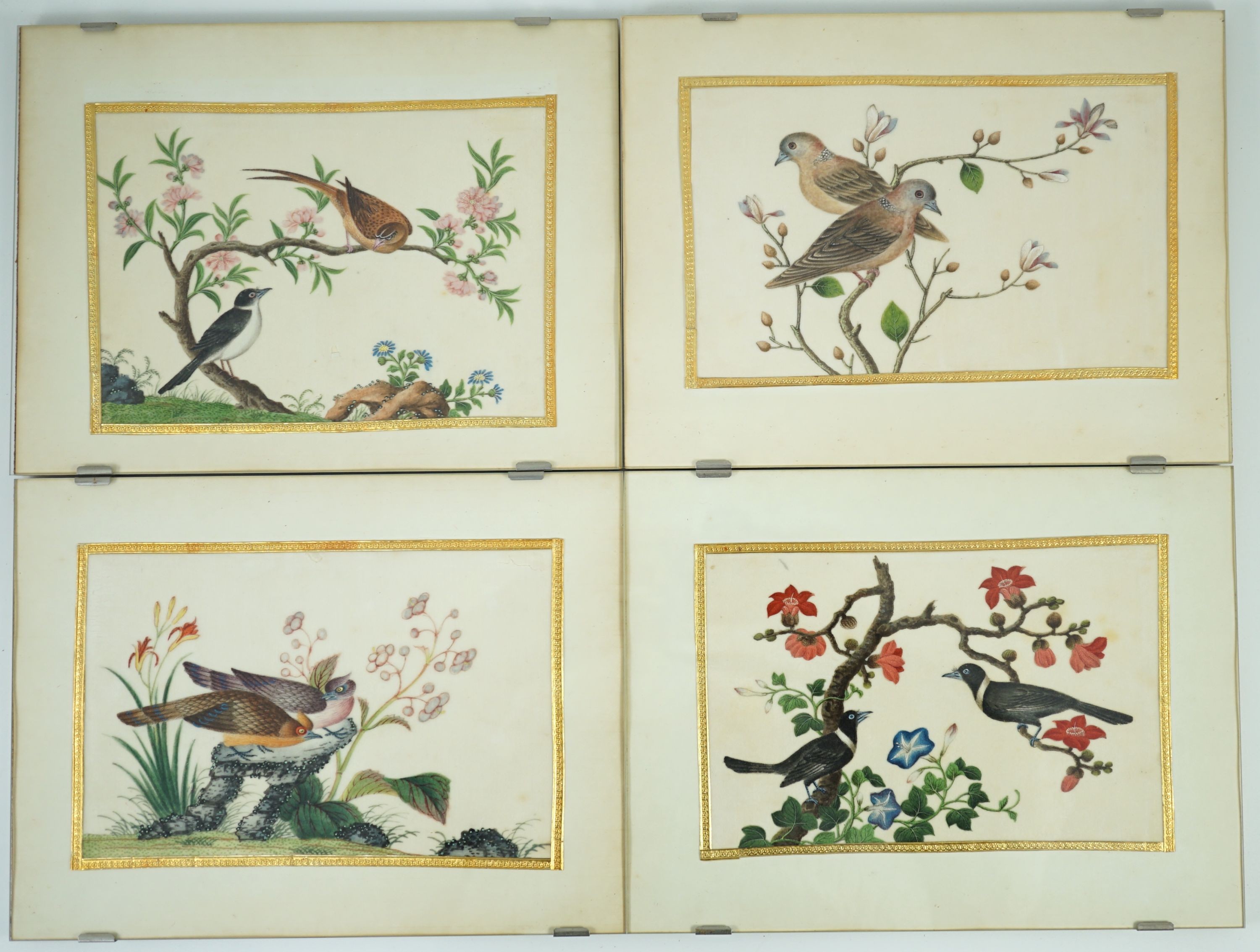 A set of 16 Chinese pith paintings of birds and flowers, mid 19th century, Largest Image 12cm x 18cm